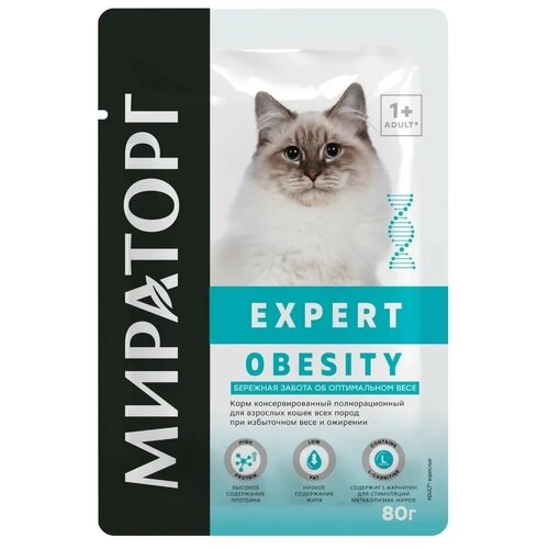   Expert Obesity           80