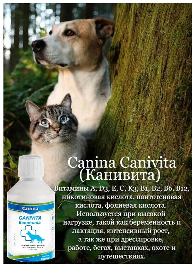 Добавка в корм Canina Canivita (250мл)