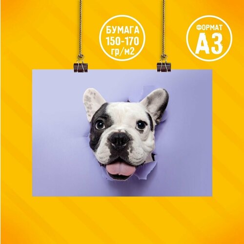 Плакат на стену 