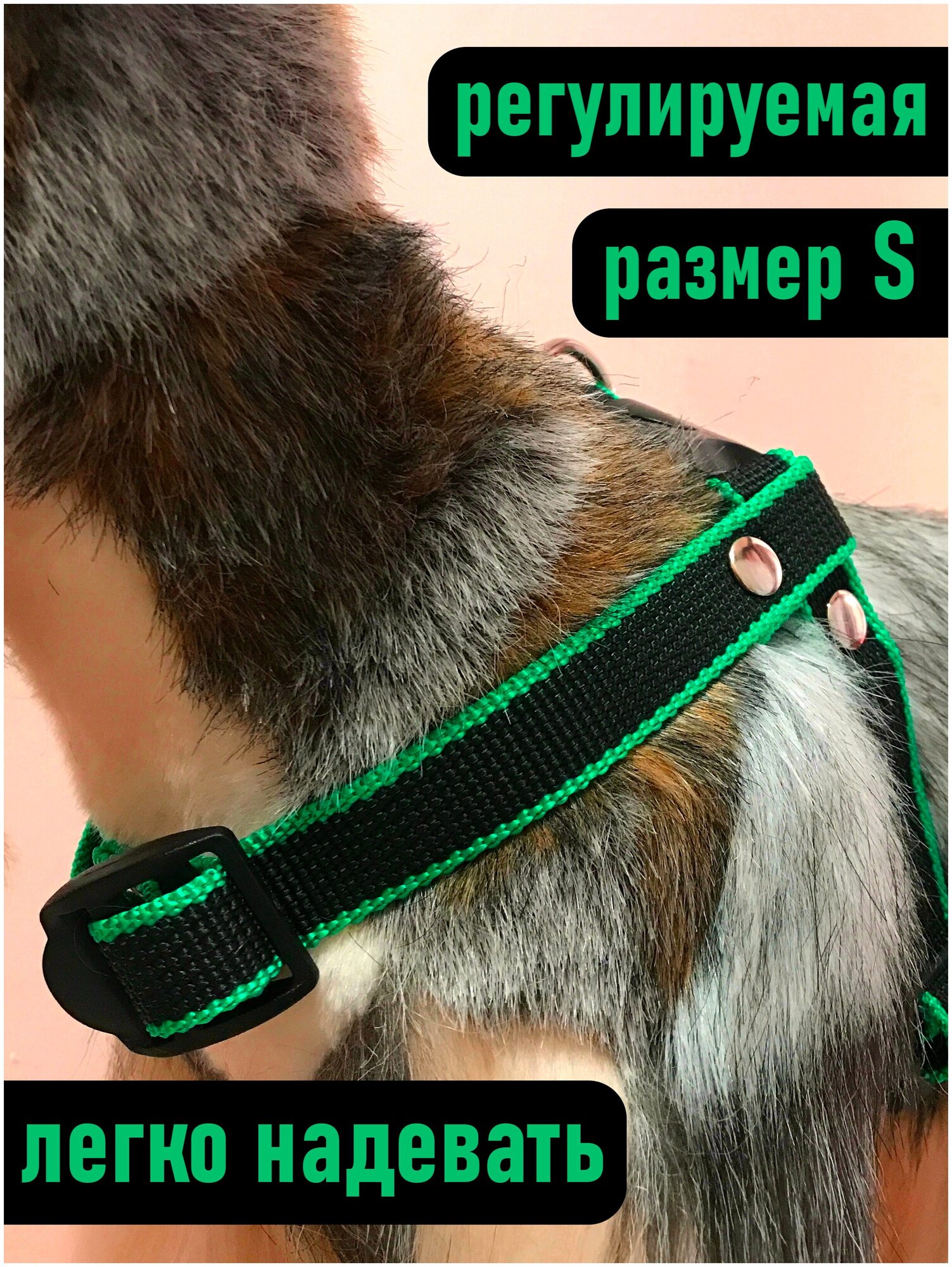 Шлейка для собак Petsare обхват груди 28-40 см, черный зеленый кант