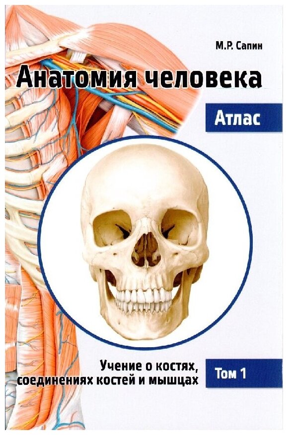 Анатомия человека. Атлас. В 3-х томах. Том 1. Учение о костях, соединениях костей и мышцах - фото №1