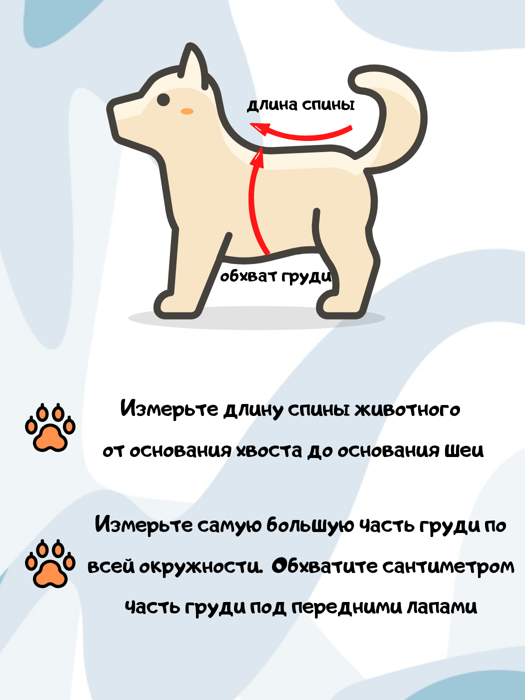 Шлейка для собак мелких пород - фотография № 4