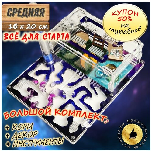 Средняя муравьиная ферма 