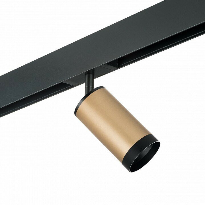 фото Светильник на штанге Lightstar Rullo PRO440437