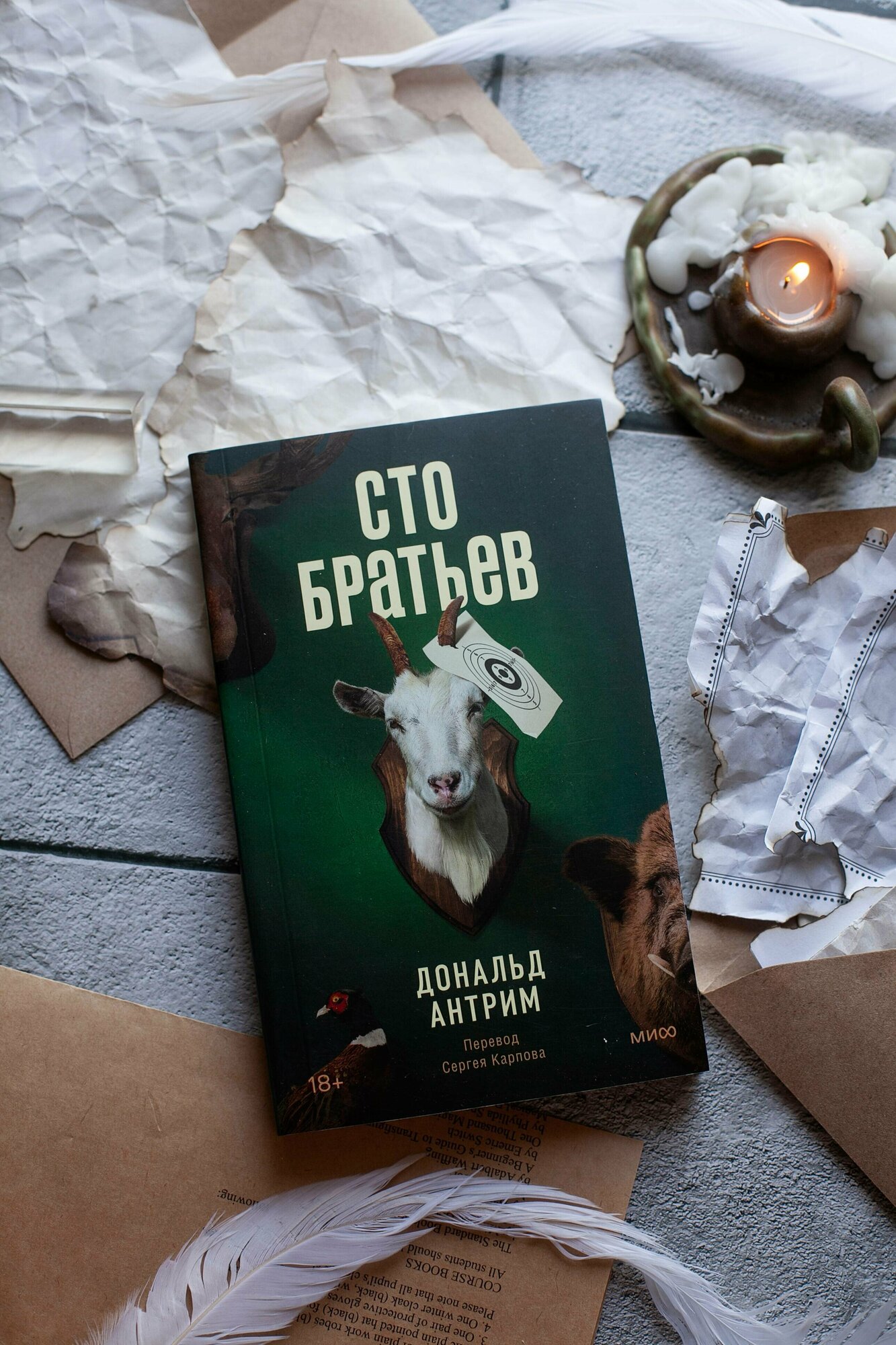 Сто братьев (Антрим Дональд) - фото №3
