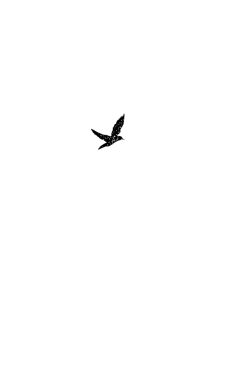 Пташка (Уильям Уортон) - фото №5