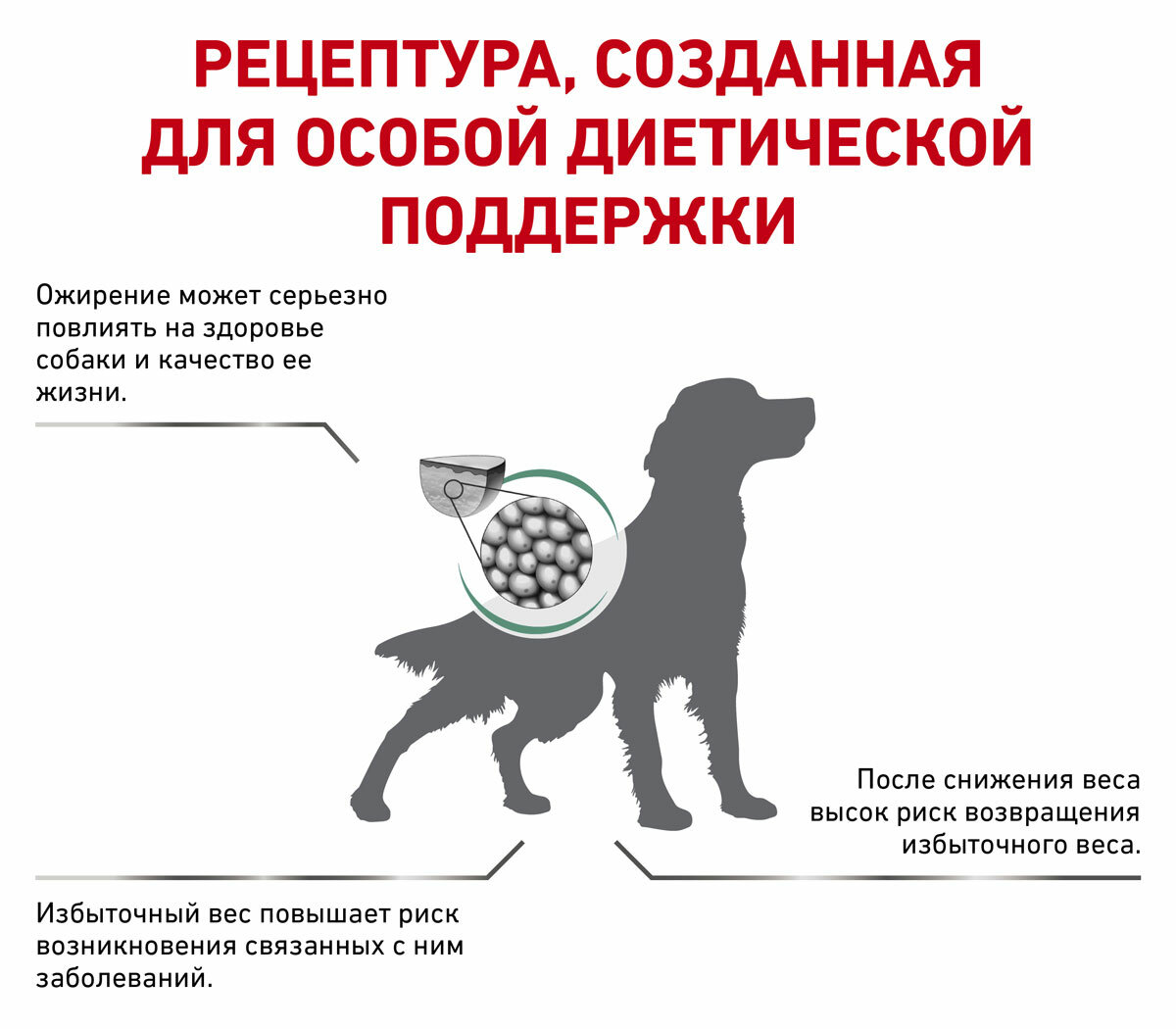 ROYAL CANIN SATIETY WEIGHT MANAGEMENT для взрослых собак контроль избыточного веса (1,5 + 1,5 кг) — фото 1
