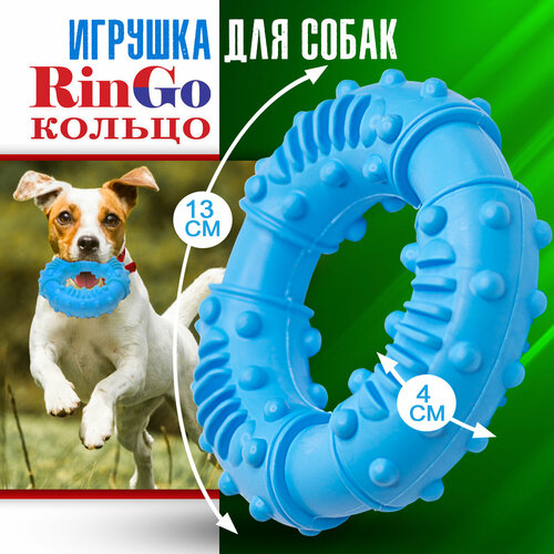 Игрушка для собак. Кольцо RinGo для чистки зубов (синее), Priopetko