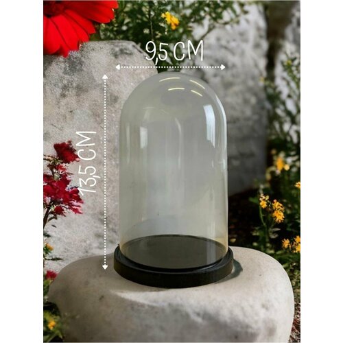 Декоративный Стеклянный клош Витрина для Фигурок Статуэток