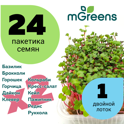 Home Market Green / Набор семян для выращивания микрозелени 24 пакета семян и двойной лоток