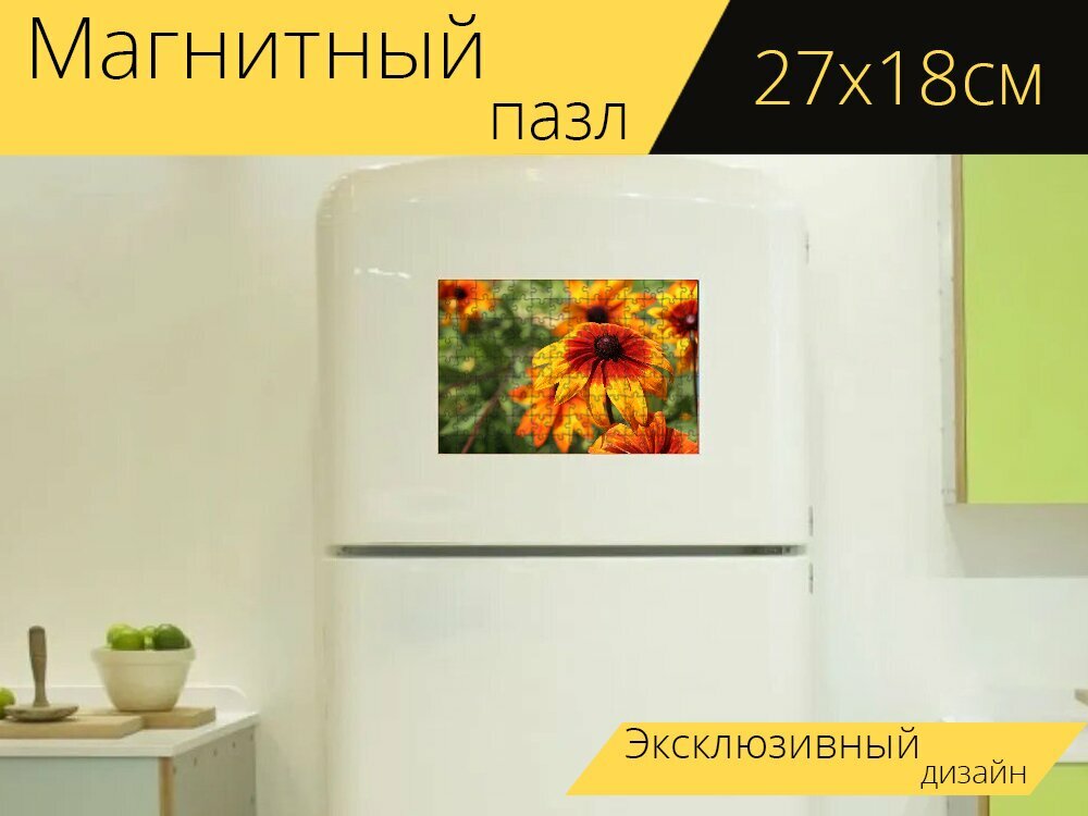 Магнитный пазл "Ruzdbeckia, эхинацеи, красочный" на холодильник 27 x 18 см.