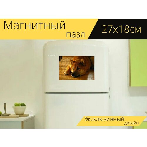 Магнитный пазл Сиба ину, собака, улыбка на холодильник 27 x 18 см. магнитный пазл сиба ину собака дож мем на холодильник 27 x 18 см