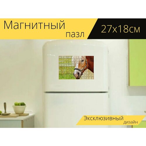 Магнитный пазл Лошадь, животное, езда на лошади на холодильник 27 x 18 см.