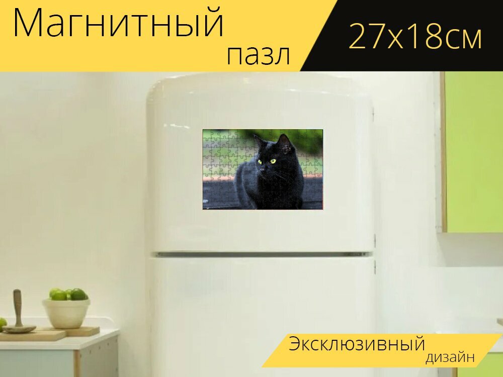 Магнитный пазл "Черный кот, кошка, чернить" на холодильник 27 x 18 см.