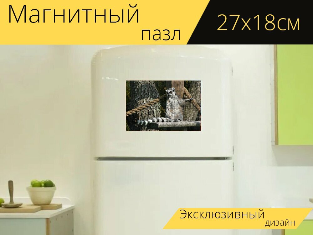 Магнитный пазл "Кошачие лемуры, лемур, мадагаскар" на холодильник 27 x 18 см.