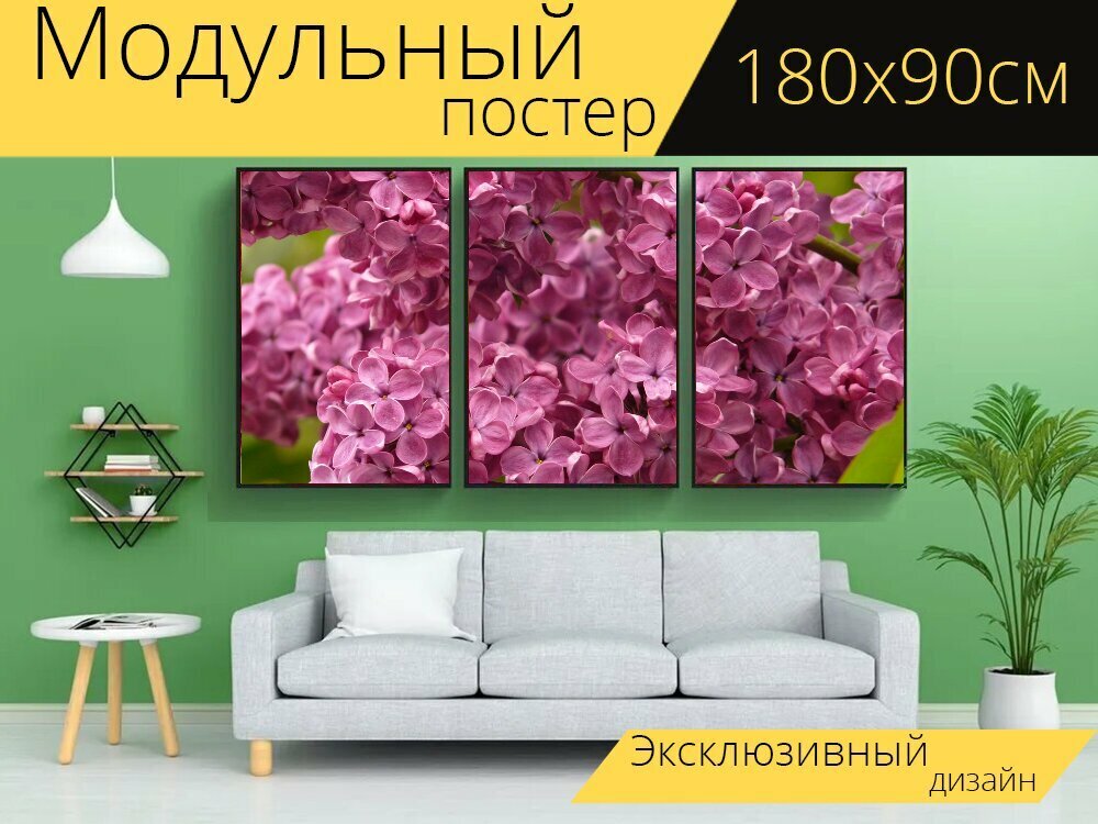 Модульный постер "Сирень, сирень обыкновенная, декоративный кустарник" 180 x 90 см. для интерьера
