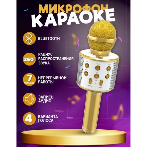 Микрофон караоке Отличный подарок 159900₽