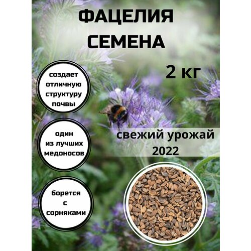 Фацелия семена, "С Алтайских полей", сидерат, медонос 2 кг, зеленое удобрение