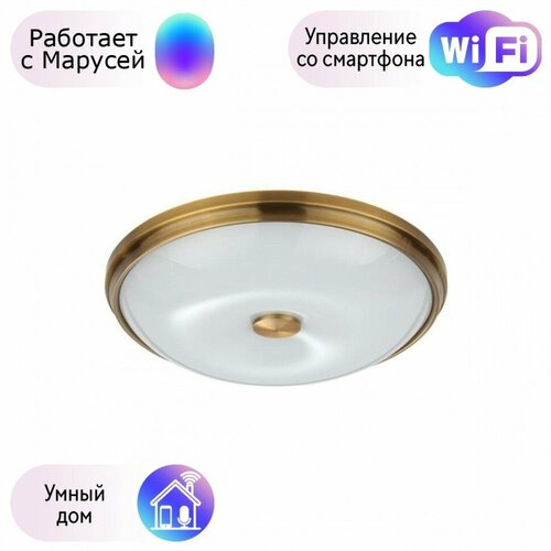 Настенно-потолочный светильник Pelow Odeon Light с поддержкой Маруся 49564-М 16104₽