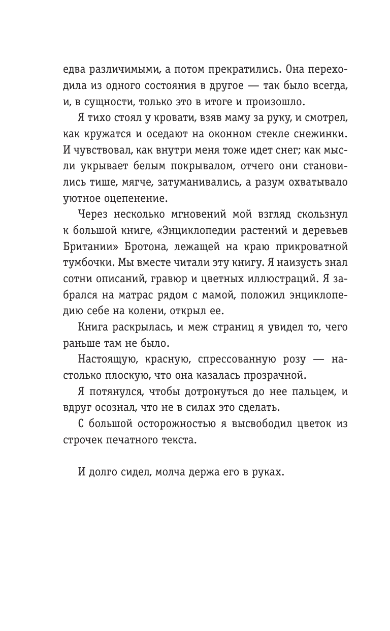 Демон Максвелла (Холл Стивен) - фото №15