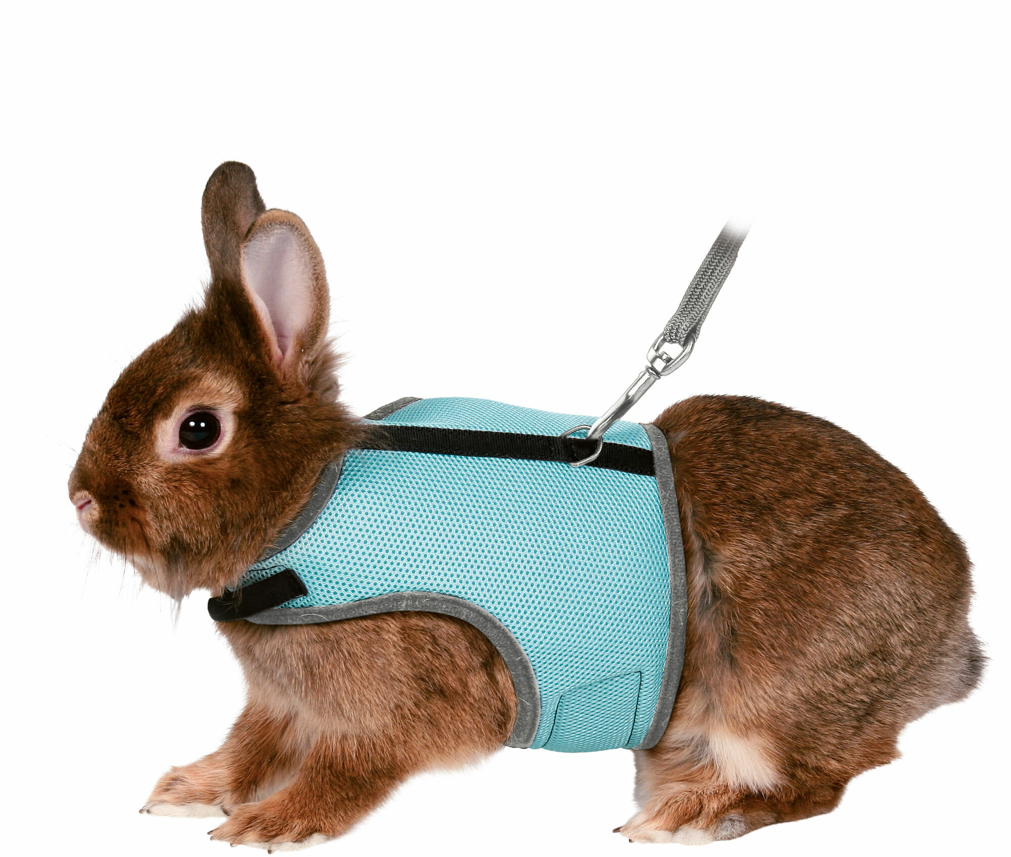 Шлейка-жилетка для кролика, полиэстер/нейлон, Trixie (товары для животных, цвет может отличаться, 61513)