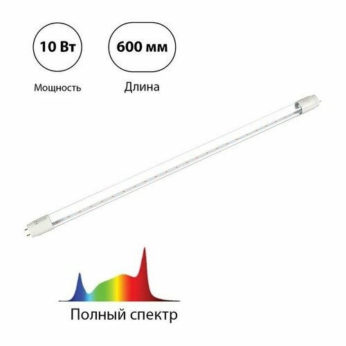 Фитолампа светодиодная, 10 Вт, 600 мм, цоколь G13, полный спектр, LED-T8-FITO, IN HOME