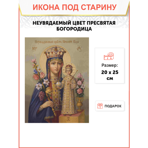 Икона Пресвятой Богородицы Неувядаемый цвет
