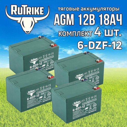 Комплект тяговых аккумуляторов RuTrike 6-DZF-12 (48V12A/H C2)