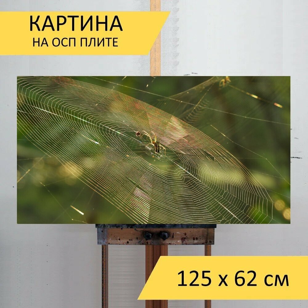 Картина на ОСП "Природа, насекомое, завод" 125x62 см. для интерьера на стену