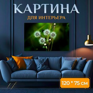 Картина на холсте "Полевой цветок, цветок, завод" на подрамнике 120х75 см. для интерьера