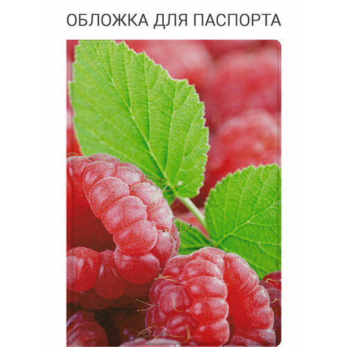 Обложка для паспорта SLVGO, красный, зеленый, белый