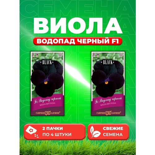 Виола Водопад черный F1, ампельная Виттрока,4шт, Black(2уп)