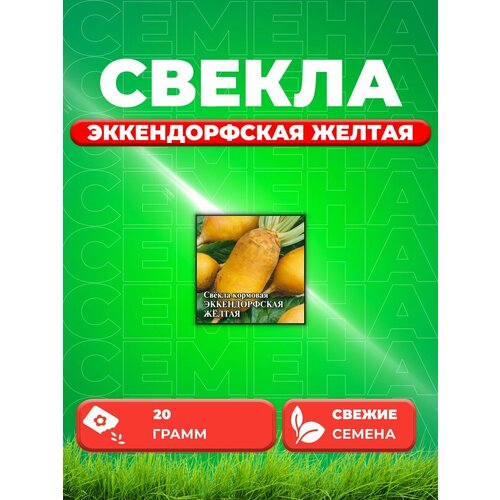 Свекла кормовая, Эккендорфская, желтая, 20г, Гавриш, семена свекла кормовая эккендорфская желтая 20г гавриш фермерское подворье