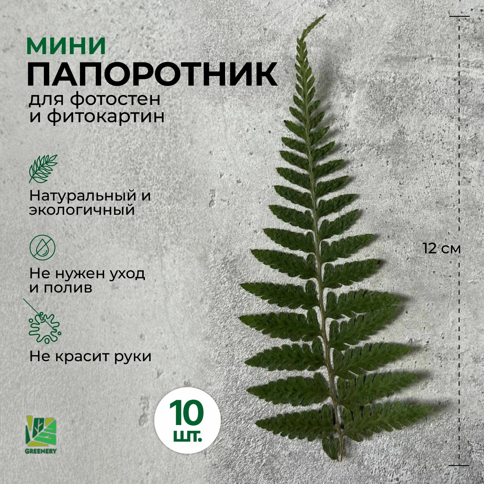 Greenery Moss / Стабилизированный папоротник Мини №9 - 10 шт. Для творчества, панно и флористики - сухоцветы для свечей, эпоксидной смолы