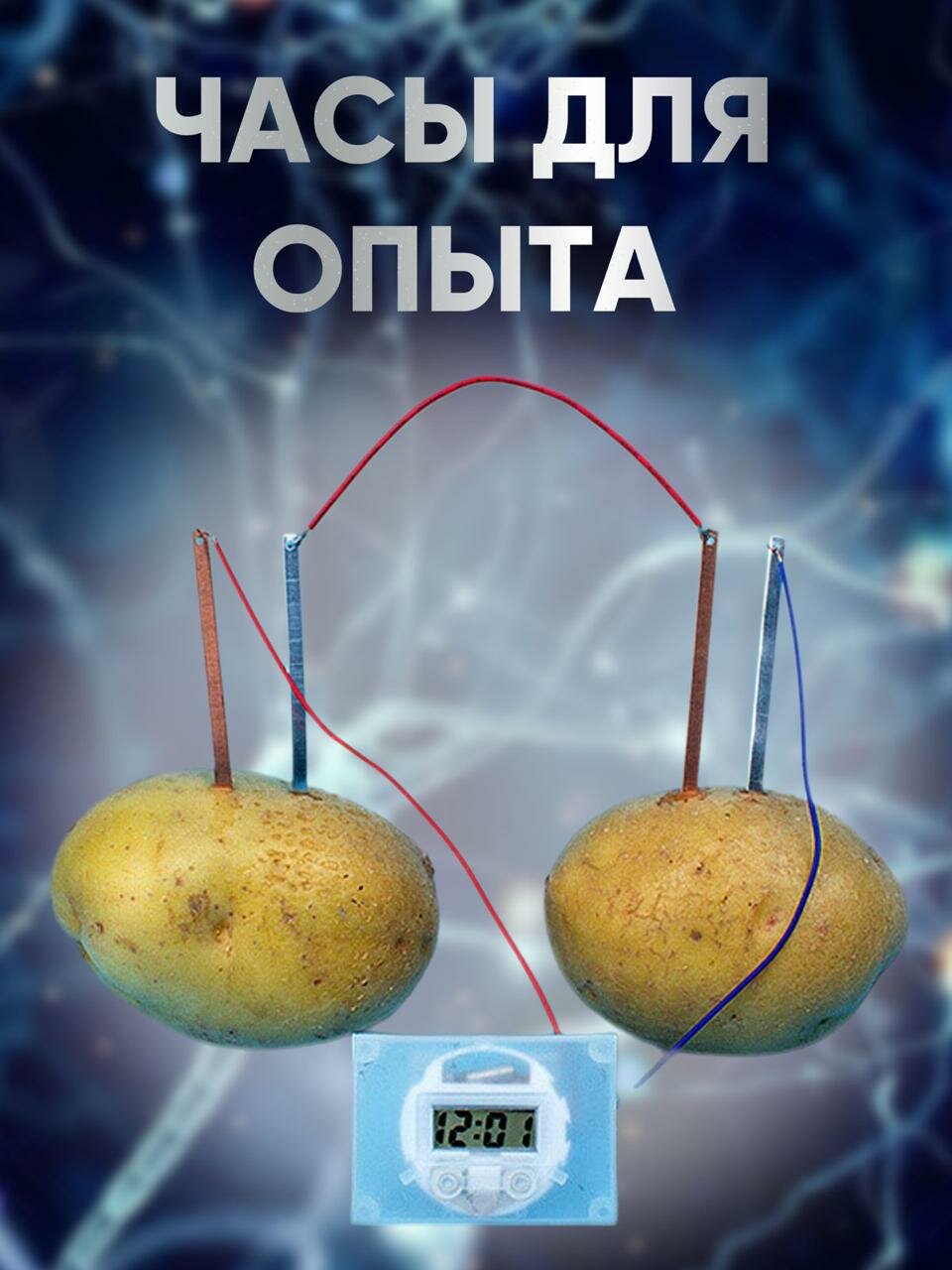 Набор для опытов Картофельные часы