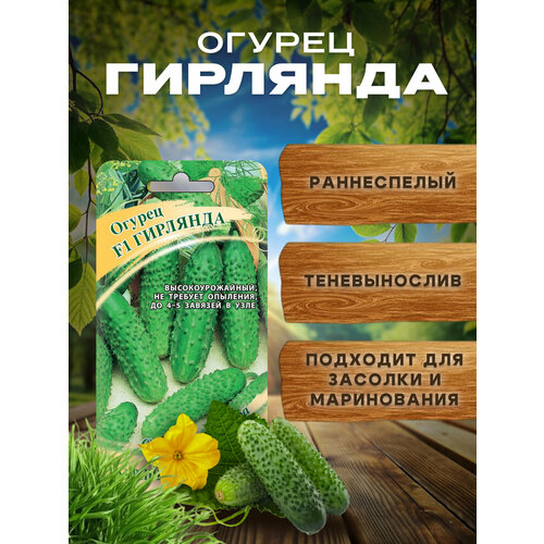 фото Семена огурцов самоопыляемые гирлянда, огурцы для открытого грунта и тепиц. гавриш