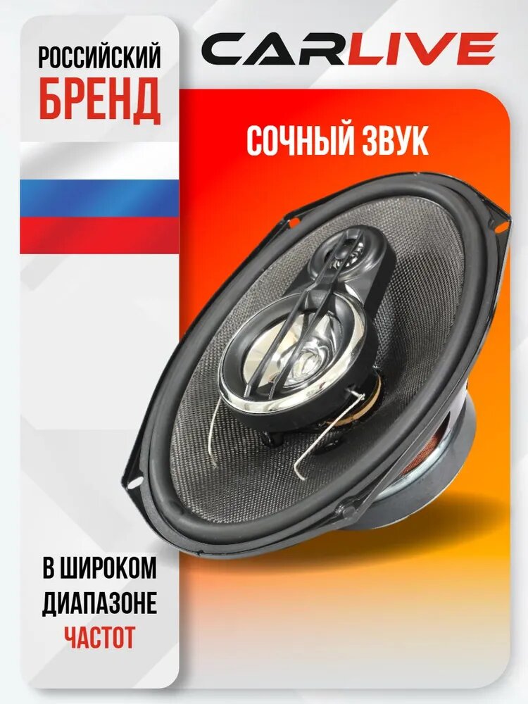 Динамики Автомобильные Carlive TS-A6995 (6x9)" Овальные. Автоакустика (2 Коаксиальных Динамика) — фото 1