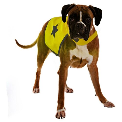 фото Жилет для собак duvo+ светоотражающий, жёлтый, l (56см) (бельгия)