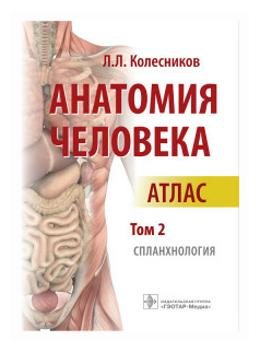 Анатомия человека. Атлас. Том 2. Спланхнология - фото №1