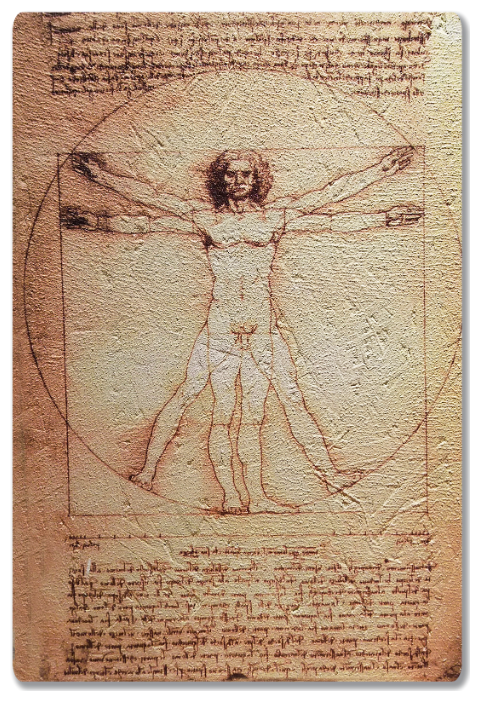 Репродукция рисунка Леонардо да Винчи "Витрувианский человек". Интерьерная фреска на доске. 60х40см