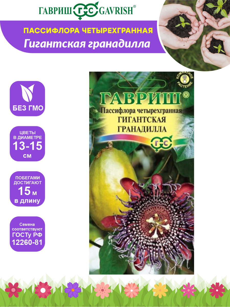 Семена Пассифлора Гигантская гранадилла четырехгранная 3 шт.