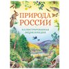 Свечников В., Романова Т. Иллюстрированная энциклопедия. Природа России - изображение