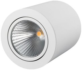 Спот Arlight SP-FOCUS-R120-16W Warm White, цвет арматуры: белый, цвет плафона: белый