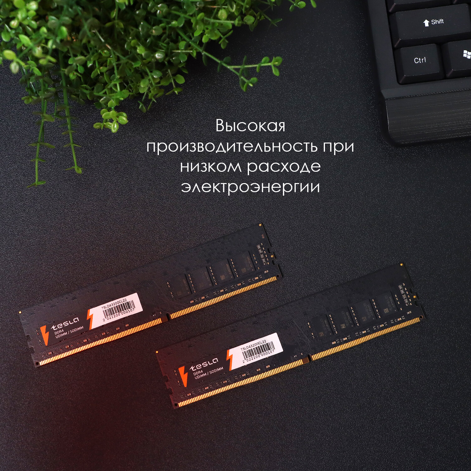 Память TESLA DDR4 DIMM 16Гб, 3200МГц, CL22, Retail