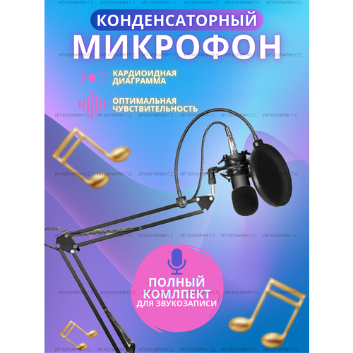 Микрофон студийный конденсаторный BM 800 с подставкой Черный 1886₽