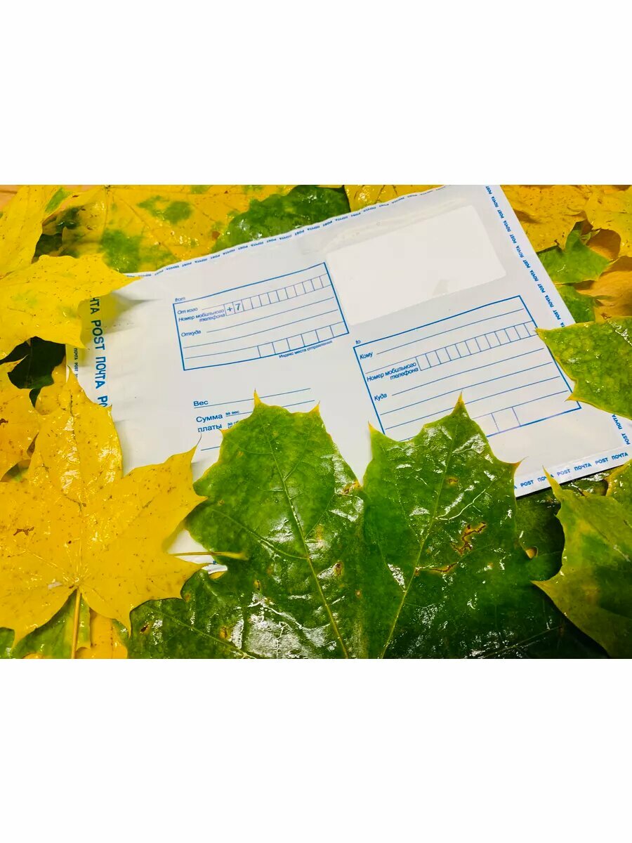 Пакет почтовый 114х162 (100 шт)