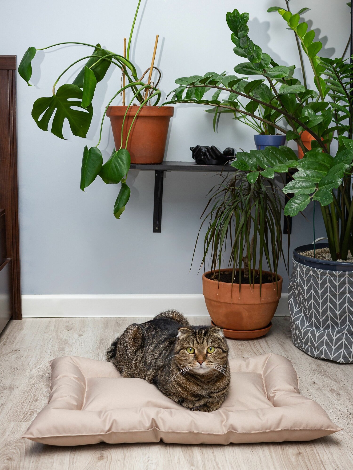 Подушка для животных, кошек и собак мелких и средних пород, антивандальная, ткань OXFORD - фотография № 3