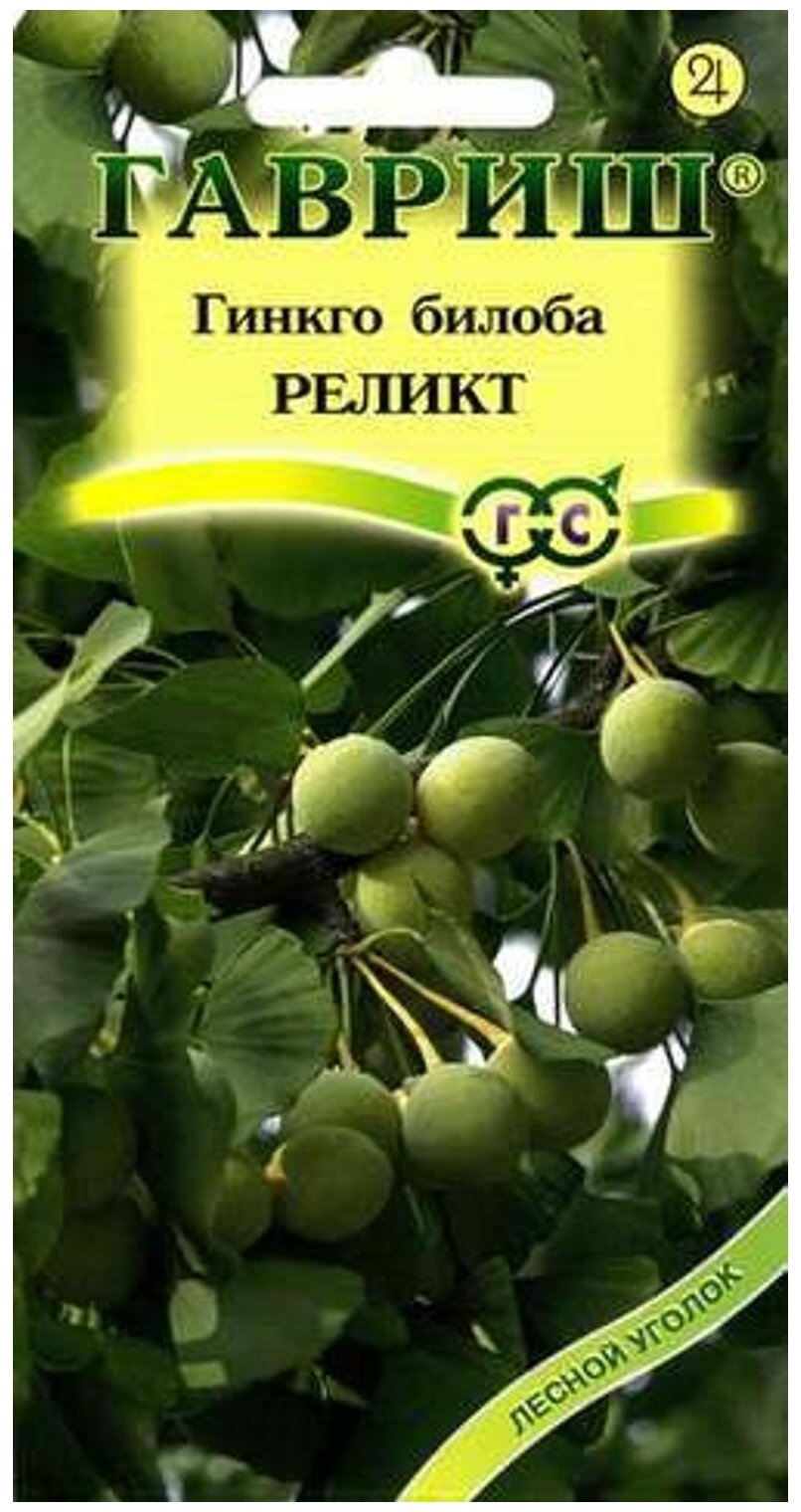 Семена. Гинкго билоба "Реликт" (2 штуки)