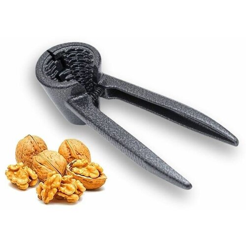 Орехокол, ребристый