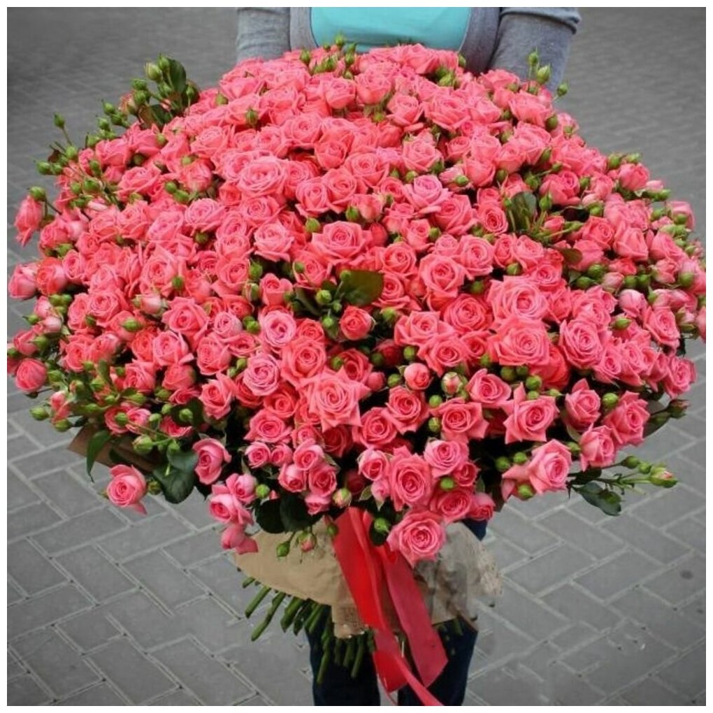 101 Кустовая Коралловая Роза (50 см.)